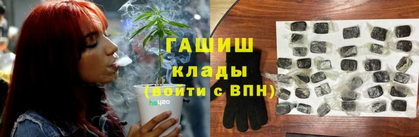 дмт Абаза