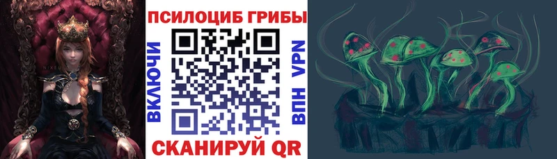 Псилоцибиновые грибы Cubensis Адыгейск